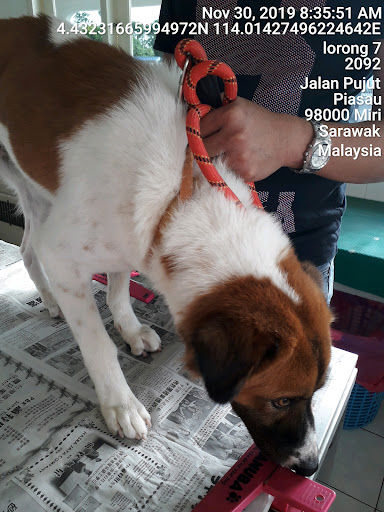 Live Animals Medical Centre Live Animals Medical Centre