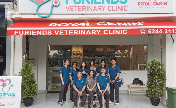 Furiendly Veterinary Clinic & Surgery 1 furiendly veterinary clinic surgery