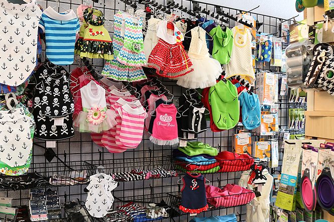 Furry Pet Store 1 furry pet store