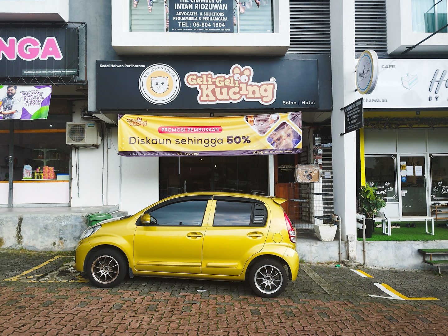 Geli Geli Kucing - Taiping 1 geli geli kucing taiping
