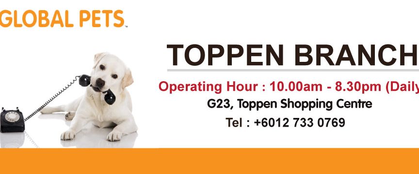Global Pets Toppen 1 global pets toppen
