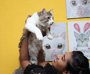 grahati pet house