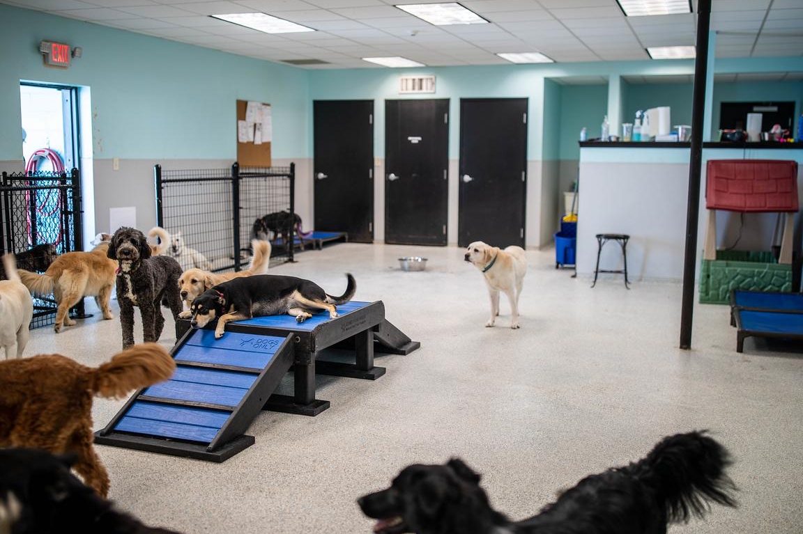 HAPPY PET SPA,HOTEL&STUDIO 1 happy pet spahotelstudio