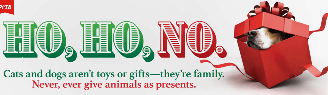 ho pet shop
