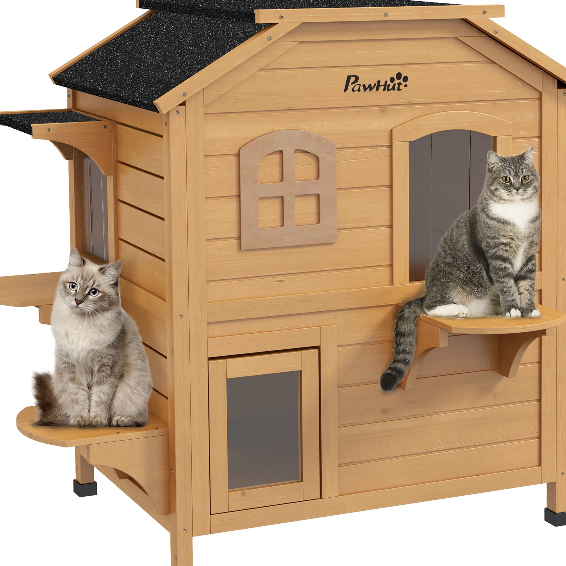 HOUSE OF CAT Kangar Jaya 1 house of cat kangar jaya