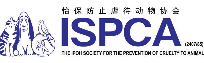 Ipoh Society for the Prevention of Cruelty to Animals | ISPCA 1 ipoh society for the prevention of cruelty to animals ispca