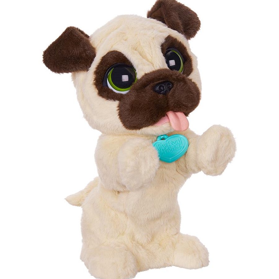 JJ Pets Talk 1 jj pets talk