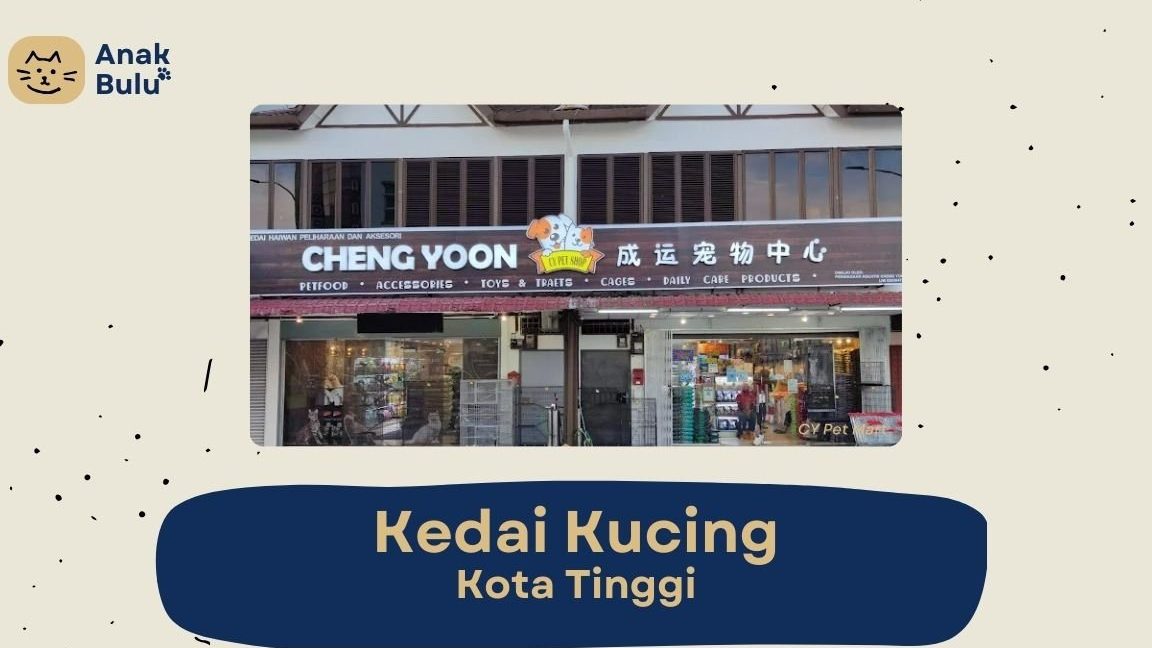 Kedai Haiwan Peliharaan Terbaik untuk Angkat Anak Haiwan di Kota Tinggi 1 kedai haiwan peliharaan terbaik untuk angkat anak haiwan di kota tinggi
