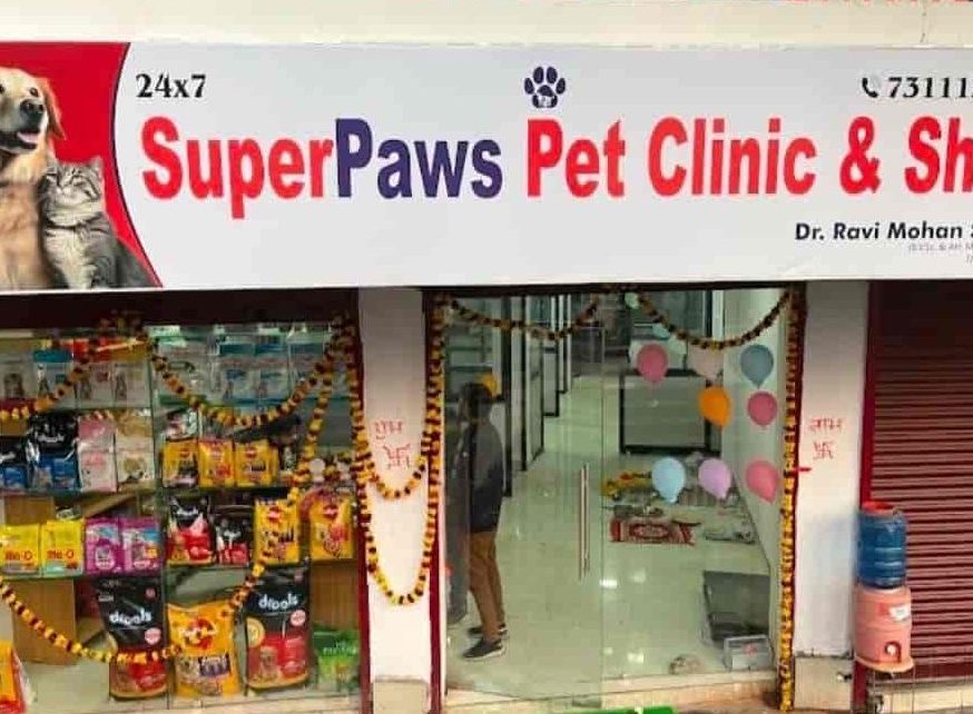 Kedai Haiwan Piaraan Terbaik di Simanggang 1 kedai haiwan piaraan terbaik di simanggang