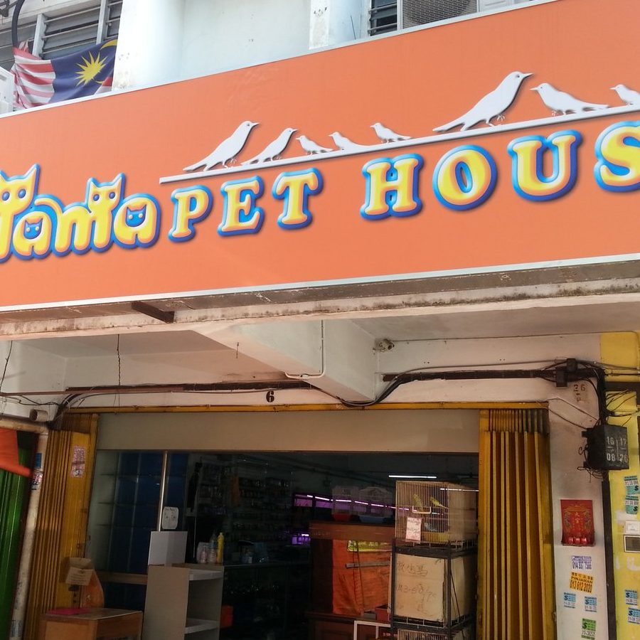 Kedai Haiwan Rescue 1 kedai haiwan rescue