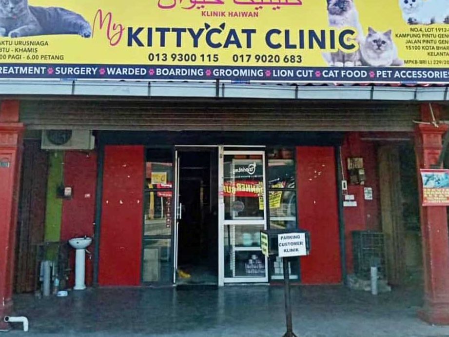 Kitty cat klinik kota bahru 1 kitty cat klinik kota bahru