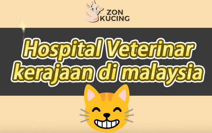 klinik haiwan terbaik untuk penjagaan haiwan peliharaan di kuala perlis
