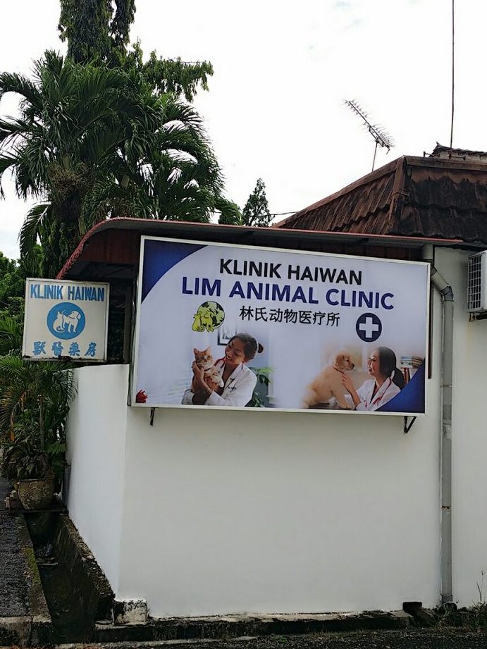 Lim Animal Clinic 1 lim animal clinic