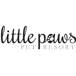 Little Paws Station 1 little paws station