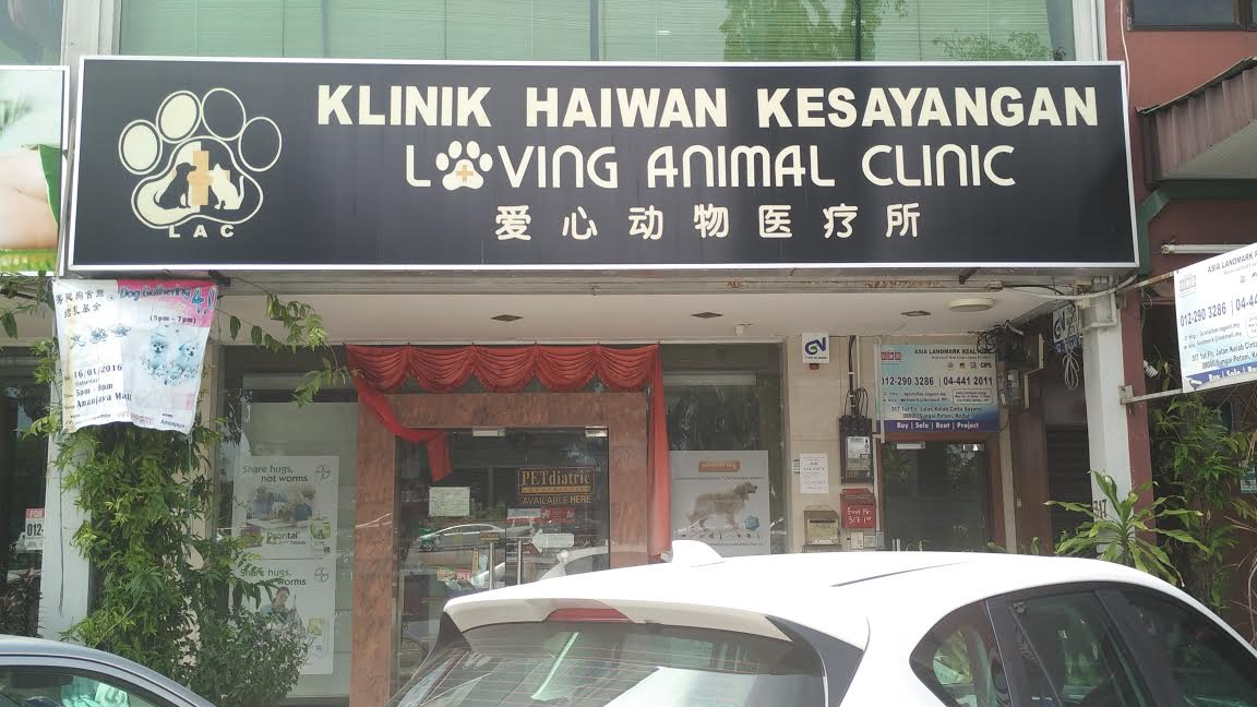 Loving Animal Clinic (Klinik Haiwan Kesayangan) 1 loving animal clinic klinik haiwan kesayangan