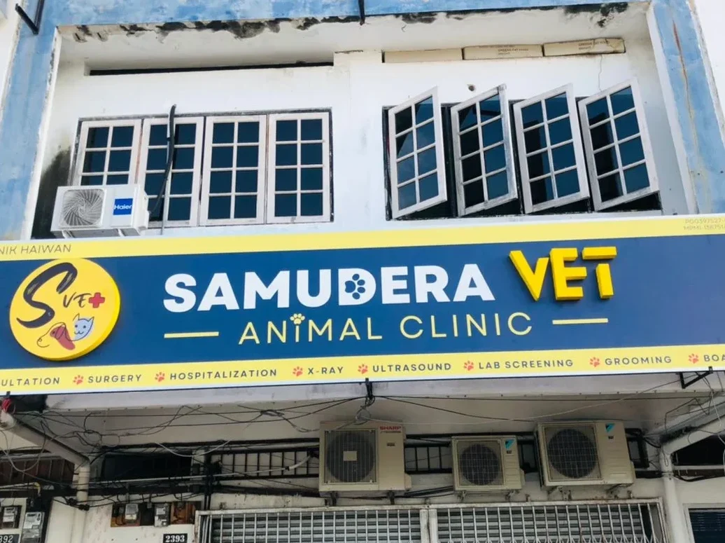 Manjung Animal Clinic 1 manjung animal clinic