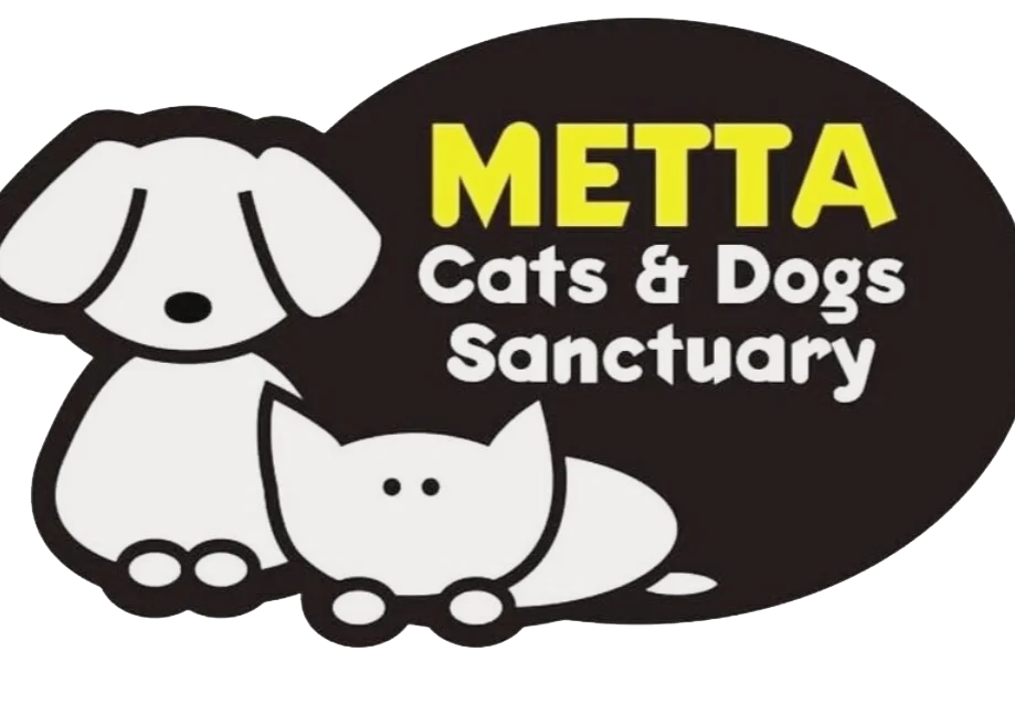Mettacats & Dogs Sanctuary 1 mettacats dogs sanctuary