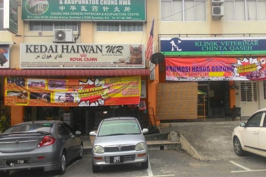mr pet shop the katz houze sdn bhdseremban 2