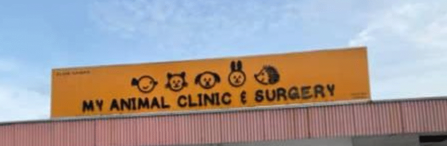 My Animal Clinic & Surgery 1 my animal clinic surgery
