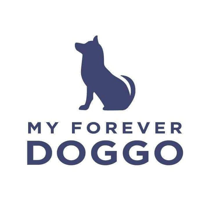 My Forever Doggo 1 my forever doggo