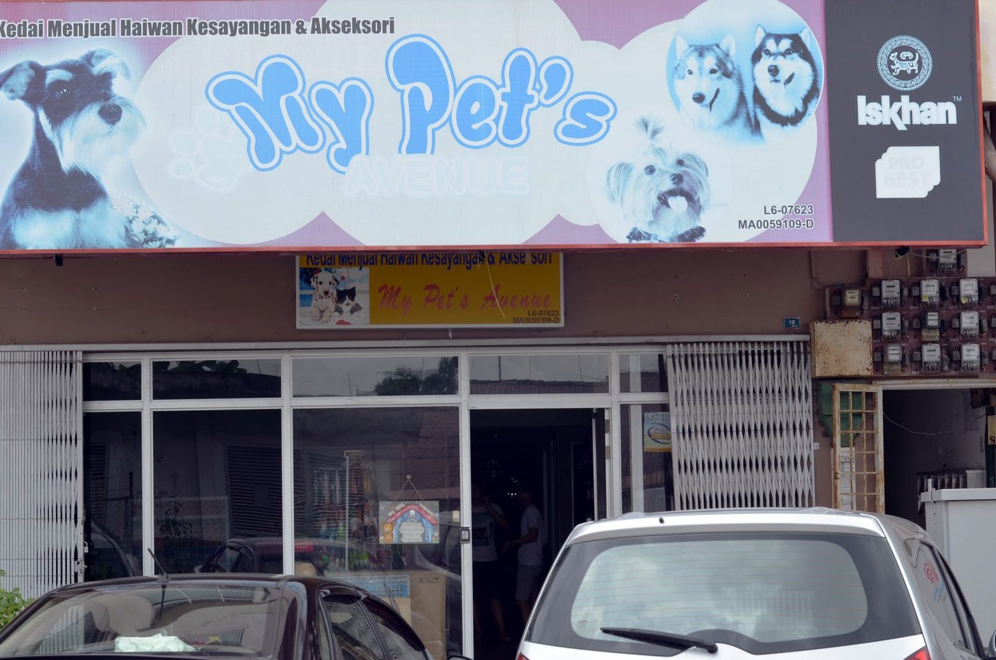My Pet's Avenue 1 my pets avenue