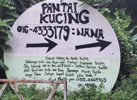 nana pantai kucing