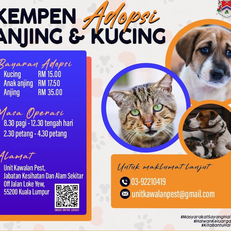 New DBKL KL City Hall Dog Pound (Cheras) 1 new dbkl kl city hall dog pound cheras