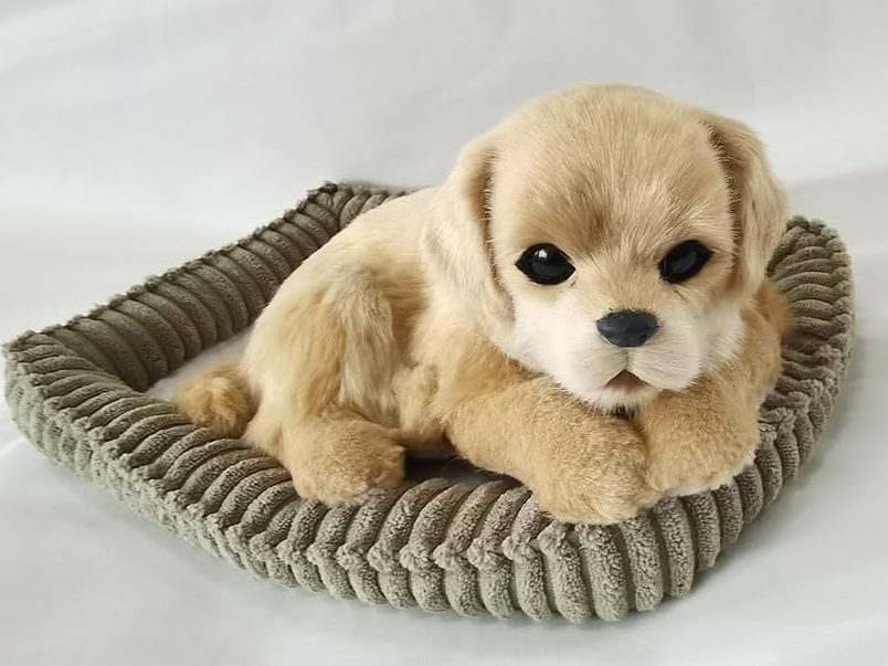 PAWFECTION 1 pawfection