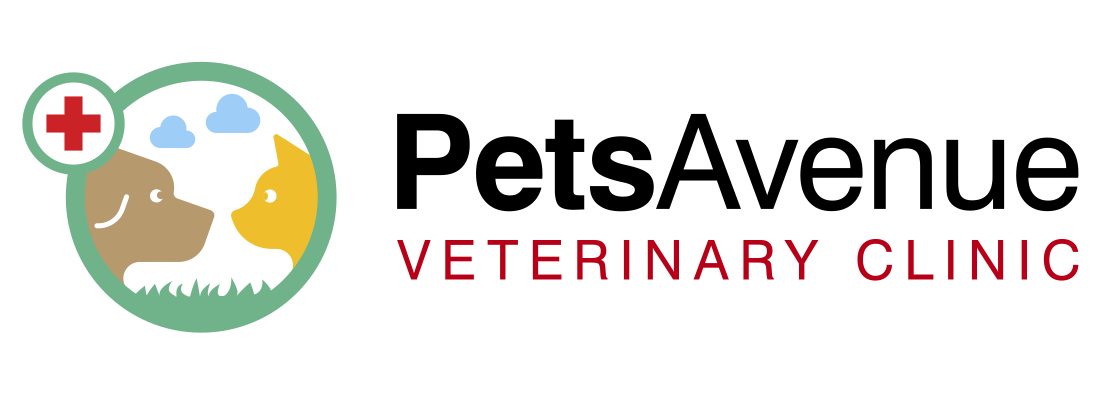 Pets Avenue 1 pets avenue