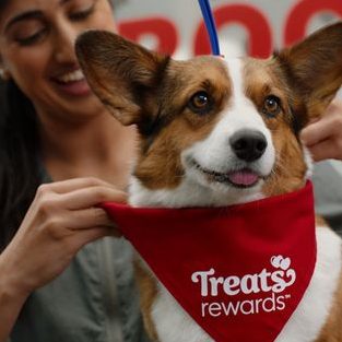 Petsmart 88 1 petsmart 88
