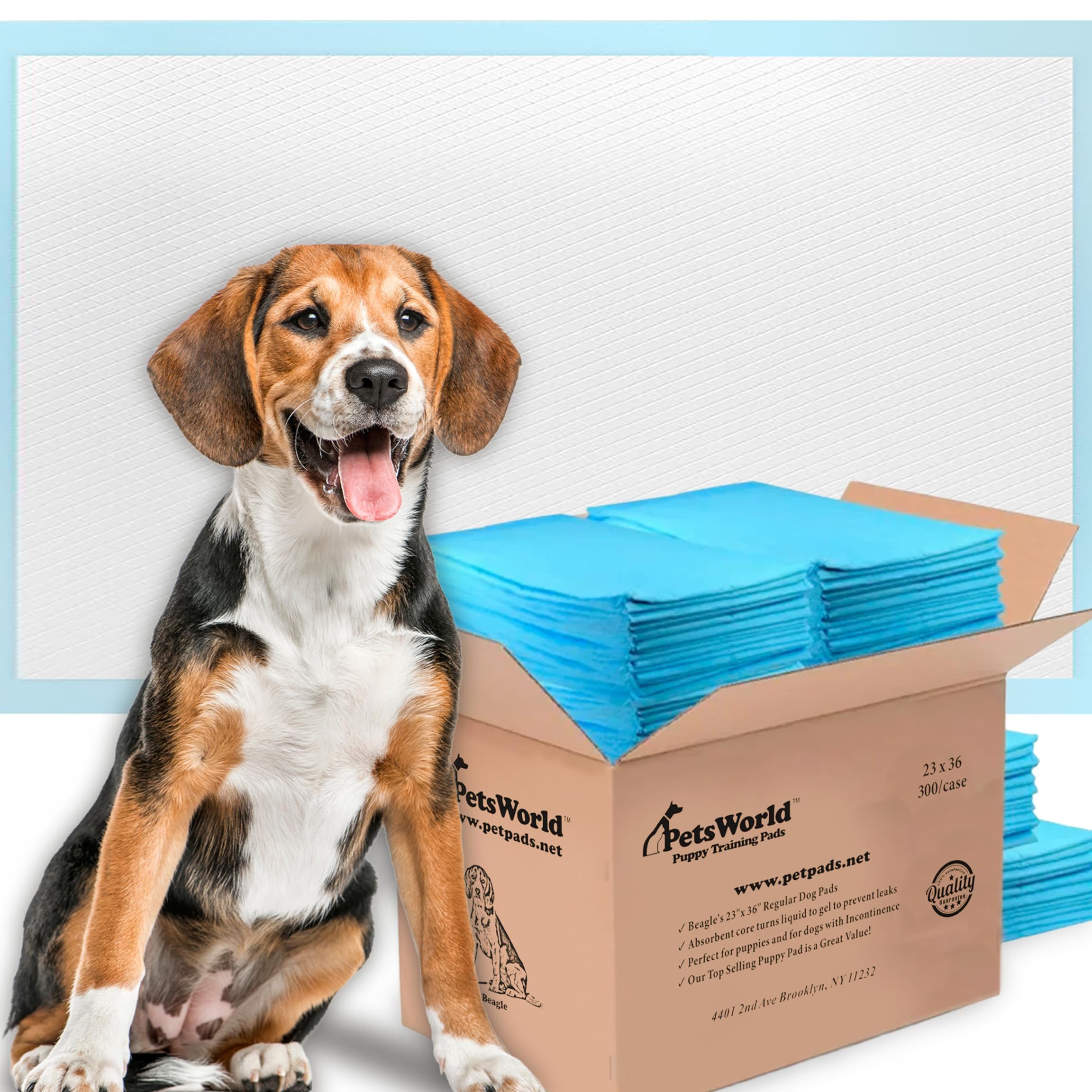 PetsWorld 1 petsworld