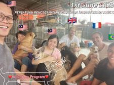 PPHK Shelter 1 pphk shelter