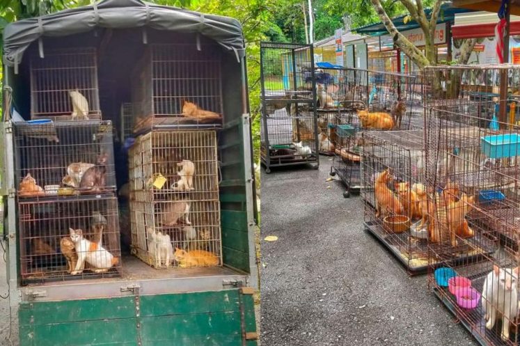 pusat pelupusan haiwan peliharaan terbaik di bemban