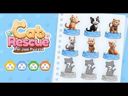 PXJ Cats Rescue 1 pxj cats rescue