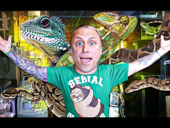 reptile petshop by raptor riot