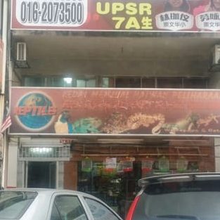 reptiles planet pet studio