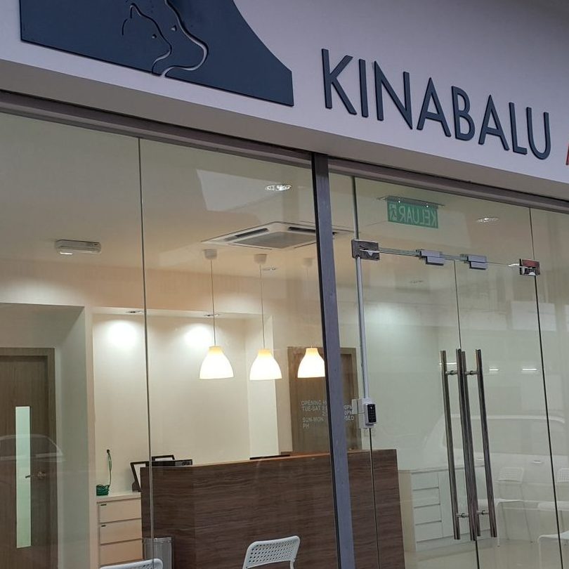 Sabah Veterinary Services & Supplies (SVSS) Animal Clinic 1 sabah veterinary services supplies svss animal clinic