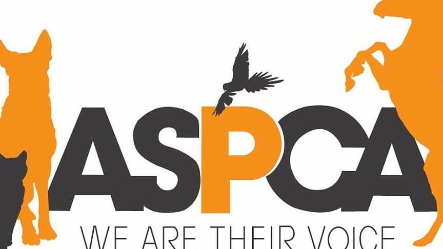 Society for the Prevention of Cruelty to Animals 1 society for the prevention of cruelty to animals