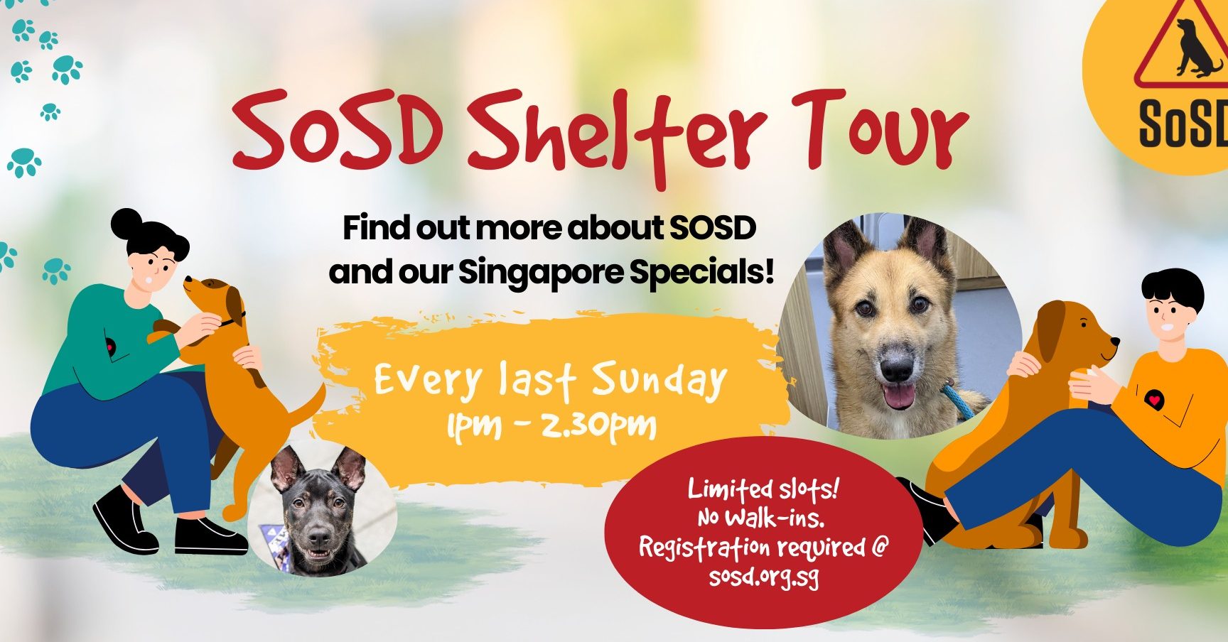 SOSD Singapore 1 sosd singapore