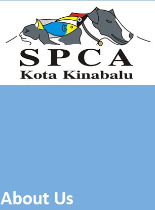 spca kk rehabilitation and adoption centre
