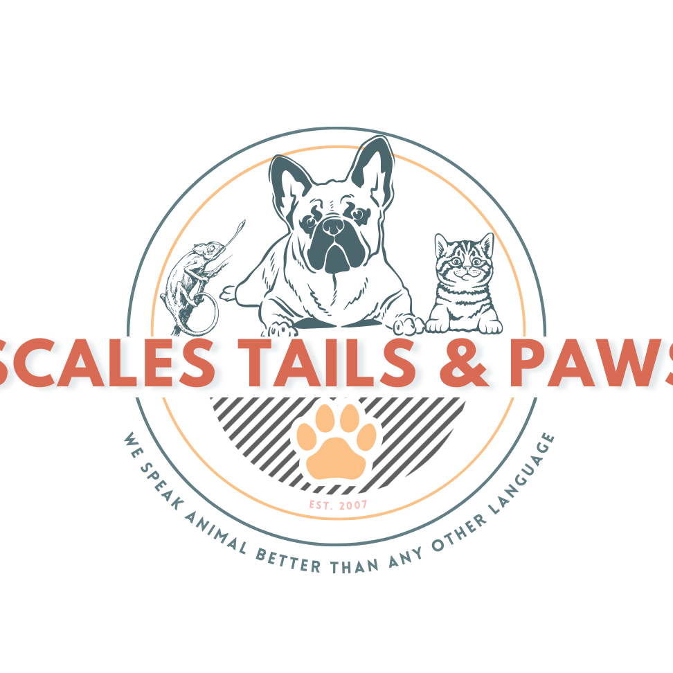 tails and paws pet boarding