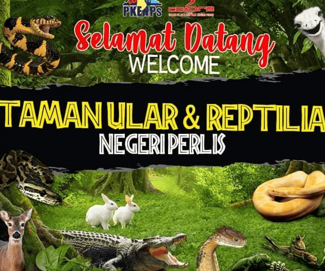 Taman Ular Perlis 1 taman ular perlis