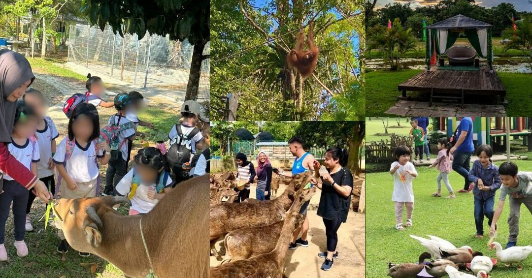 tempat penjagaan haiwan terbaik di permatang kuching