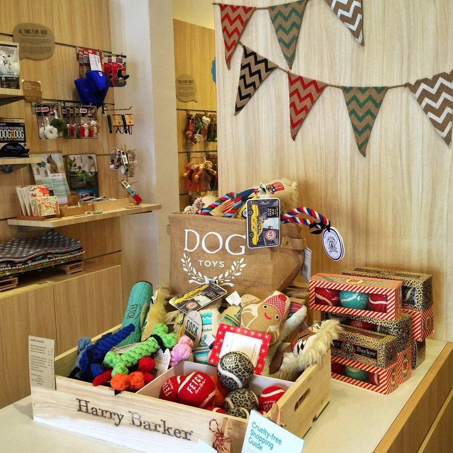 terbaik pet adoption di kampung simpang renggam