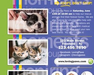 terbaik pet adoption di lidung jelo