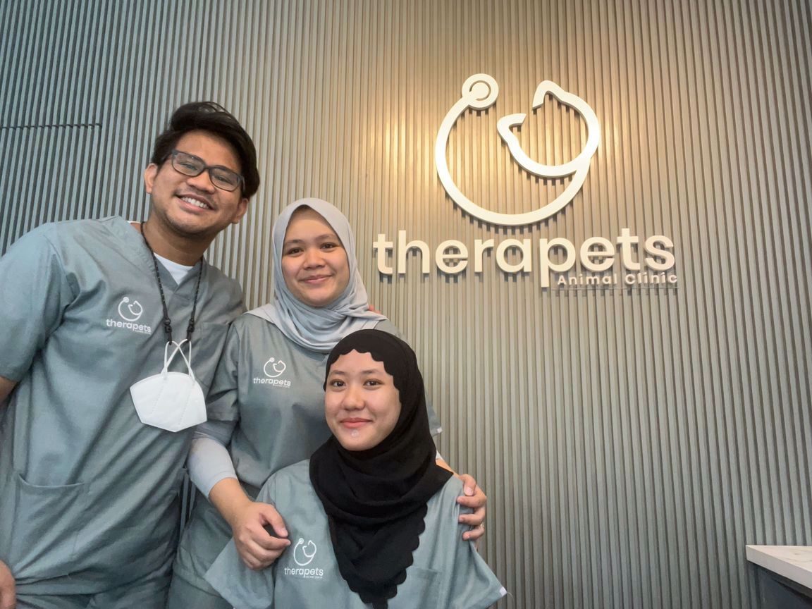 Therapets Animal Clinic 1 therapets animal clinic