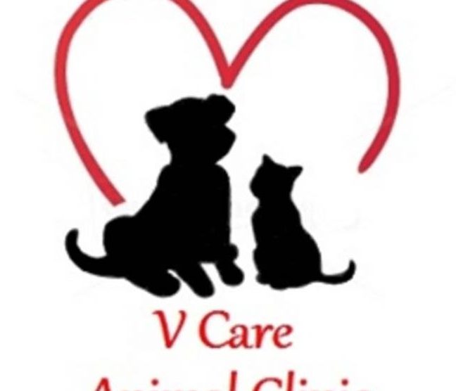 V Care Klinik Haiwan 1 v care klinik haiwan