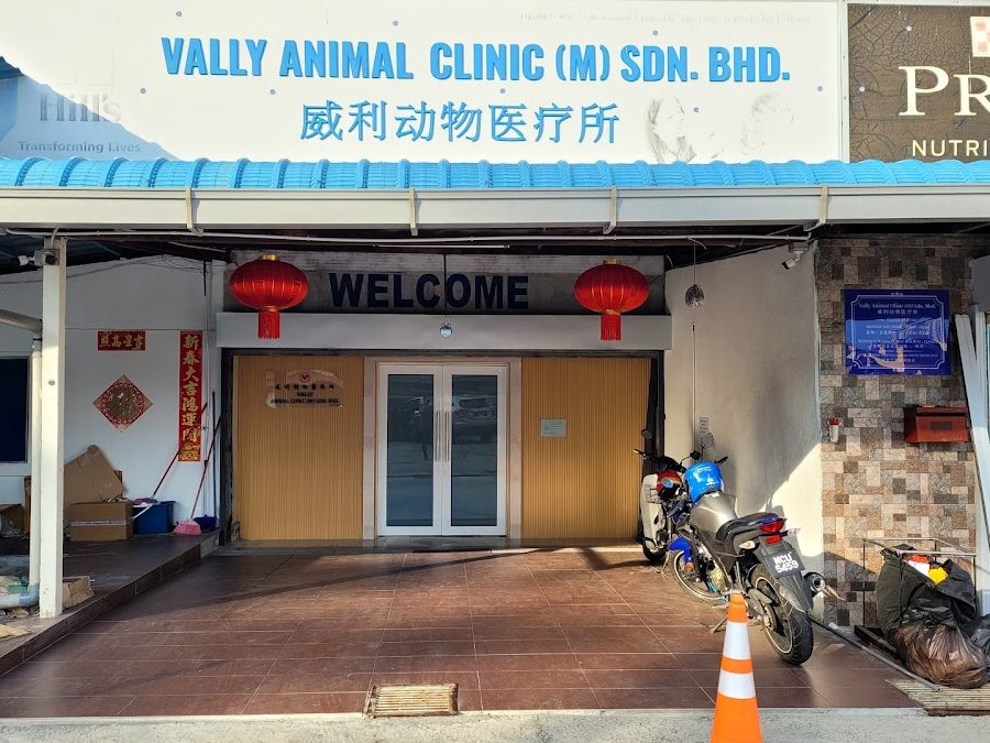Vally Animal Clinic Melaka 1 vally animal clinic melaka