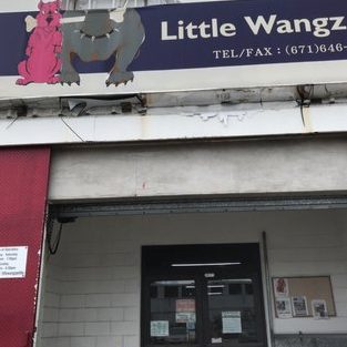 Wang Wang Petlife Store HQ 1 wang wang petlife store hq