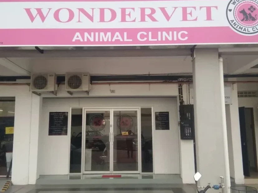 Wondervet Animal Clinic 1 wondervet animal clinic